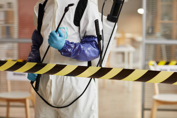 Professional Sewage Cleanup technician working in Knoxville, IA